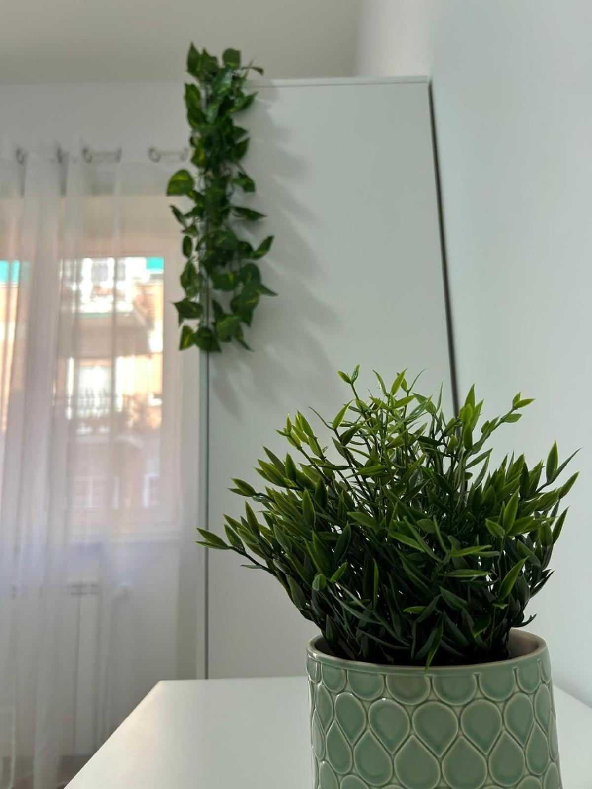 A & F Apartment 로마 외부 사진